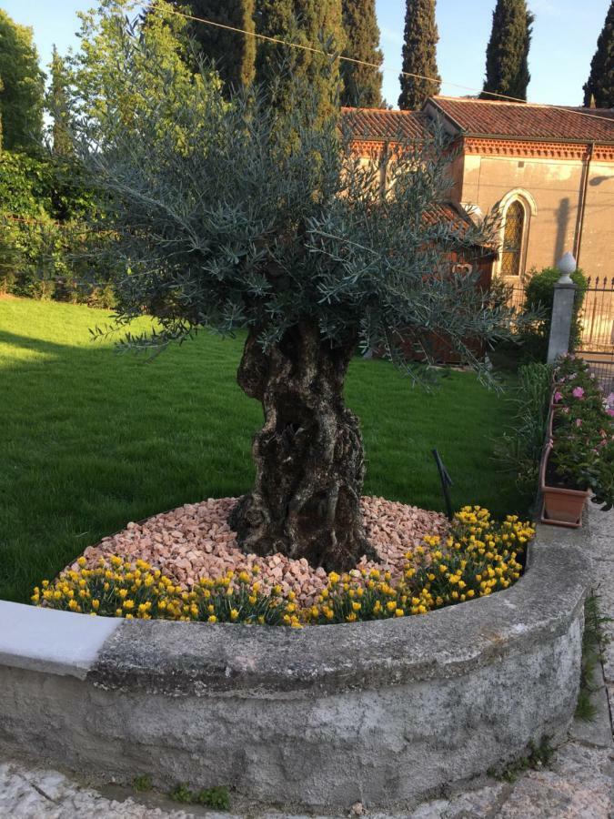 B&B Castel Montorio Vérone Extérieur photo