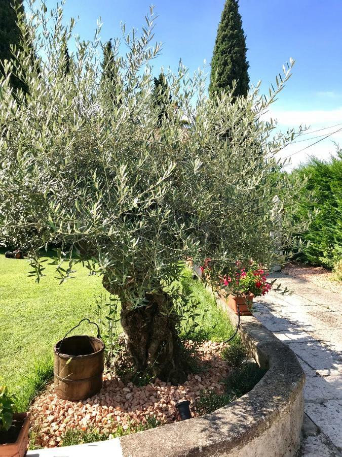 B&B Castel Montorio Vérone Extérieur photo